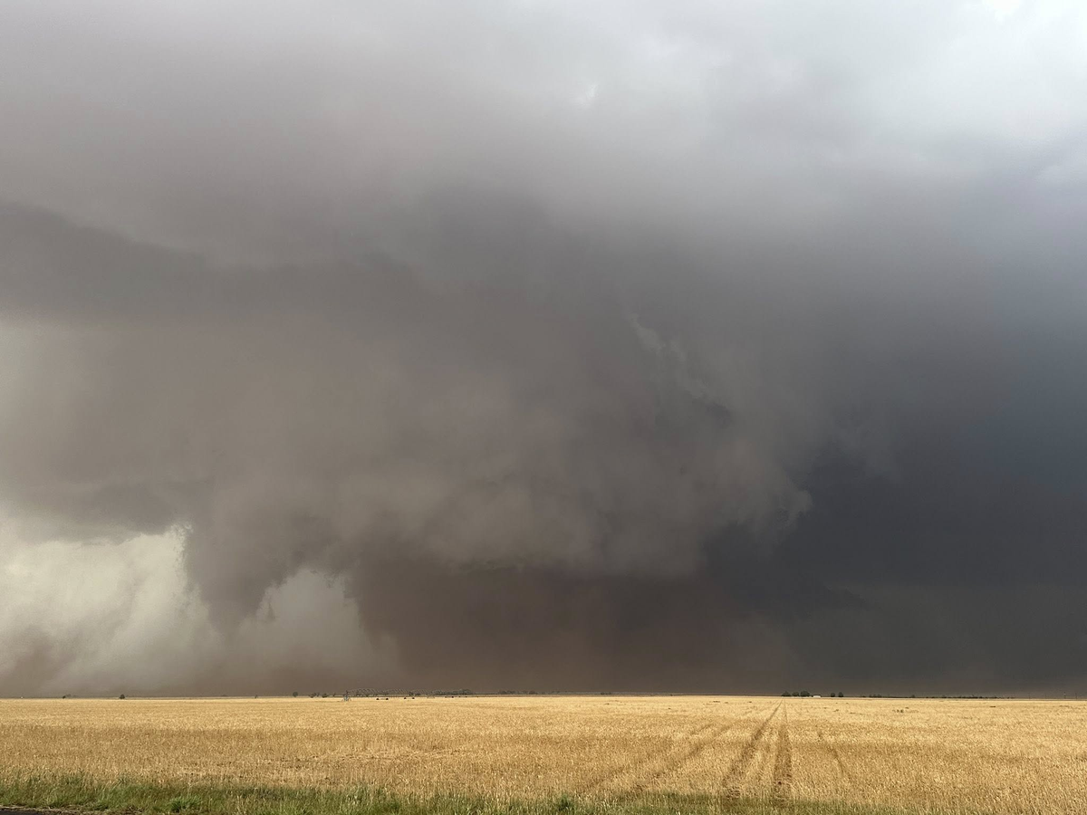 The wedge tornado northwest of Morton, Texas, on 5 June 2025.